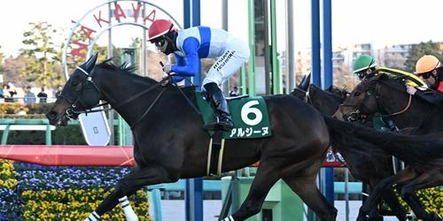 ターコイズＳを制したアルジーヌ＝2024年12月14日