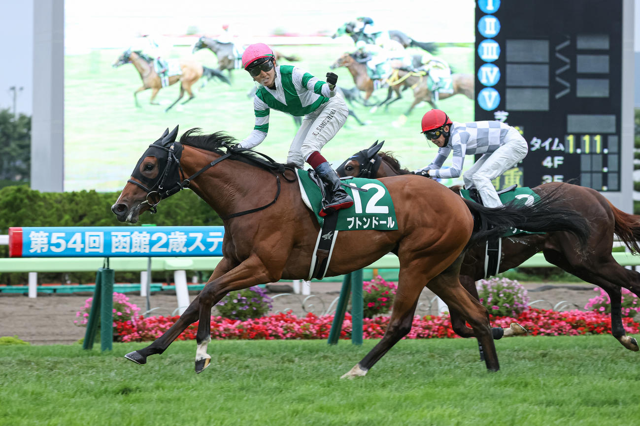 22年函館2歳Sを制したブトンドール