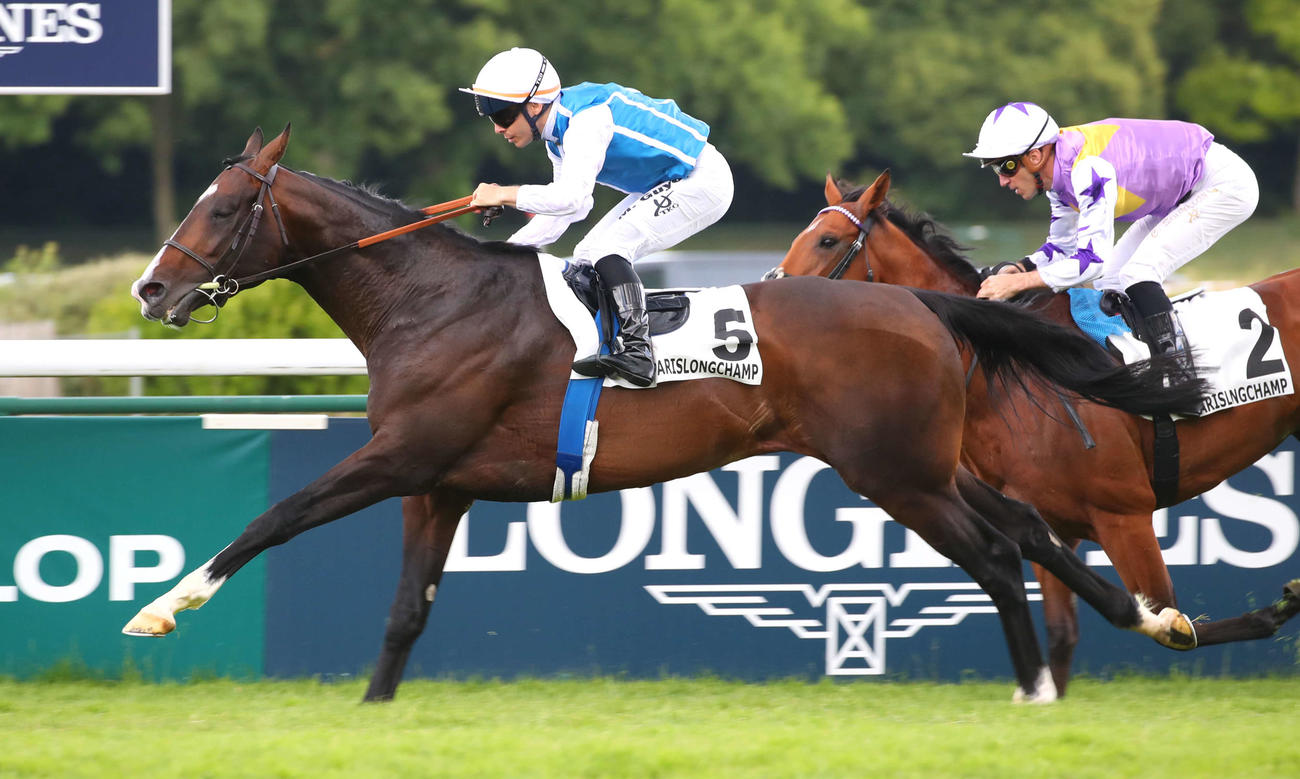香港ヴァーズに出走するソジー（C）The Hong Kong Jockey Club