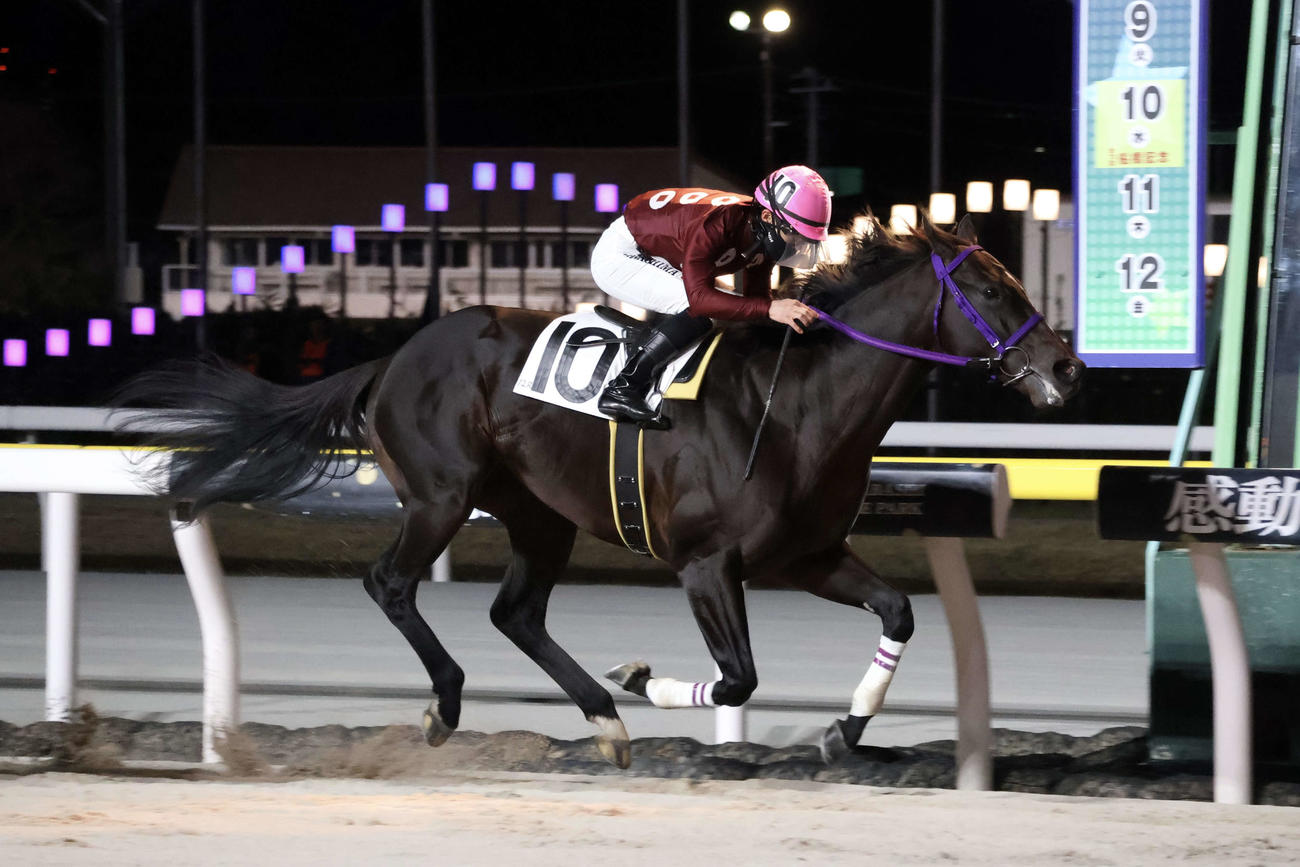 船橋12Rをリゼルージュセリエで制し、地方競馬通算500勝を達成した川島正太郎騎手