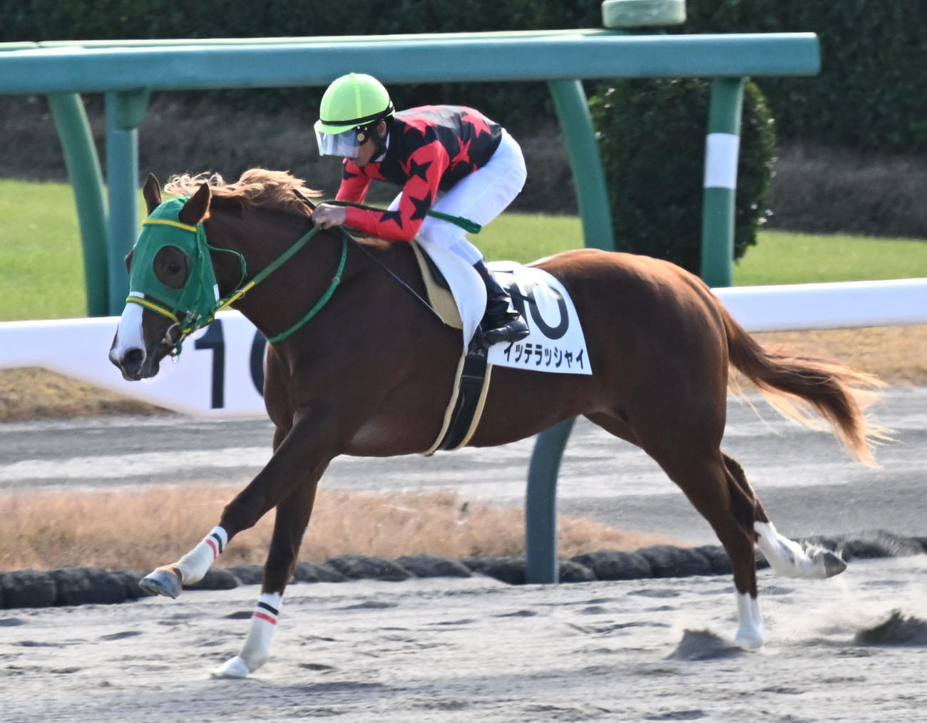 中山2R、2歳未勝利戦を制したイッテラッシャイと戸崎騎手（撮影・千葉一成）
