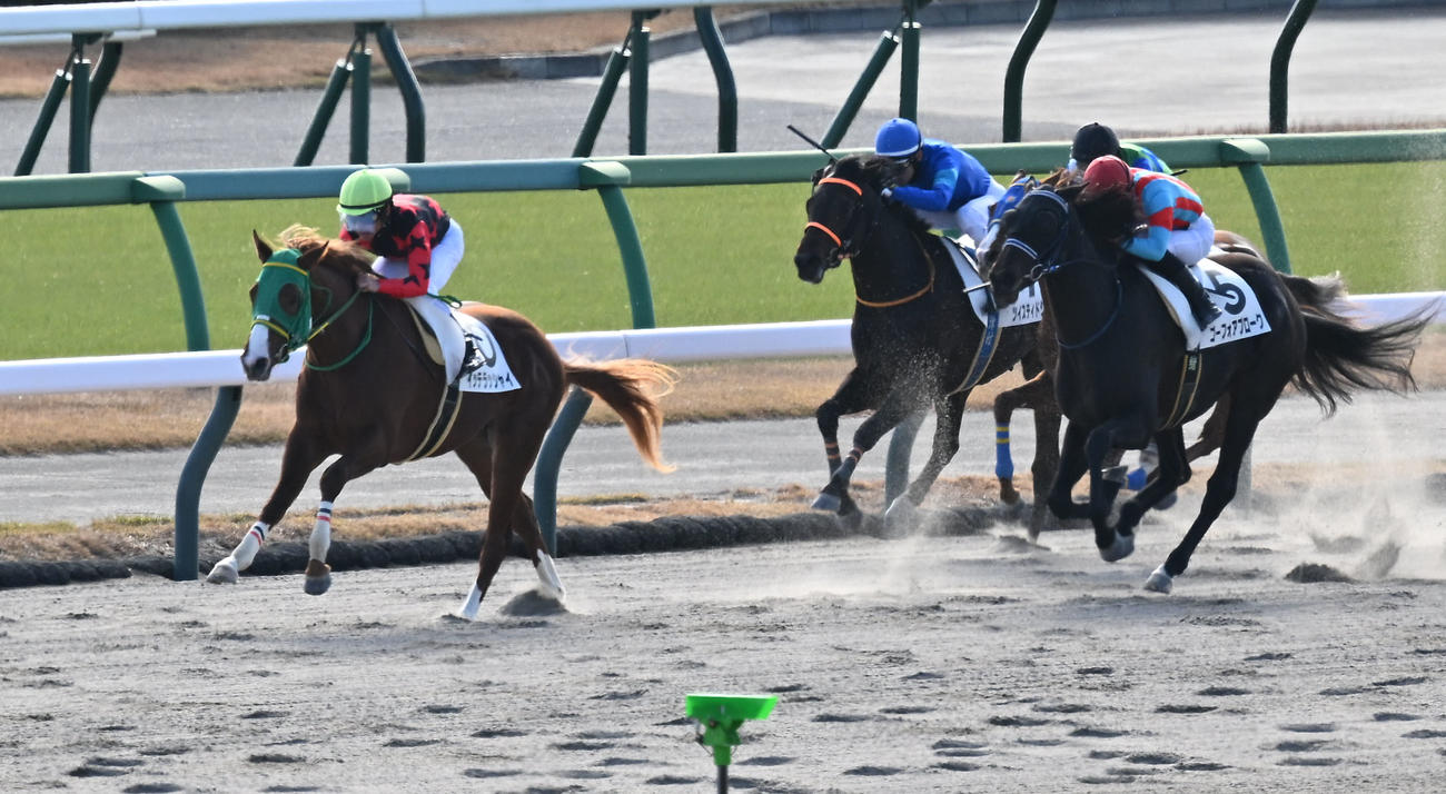 中山2R、2歳未勝利戦を制したイッテラッシャイと戸崎騎手（左）（撮影・千葉一成）