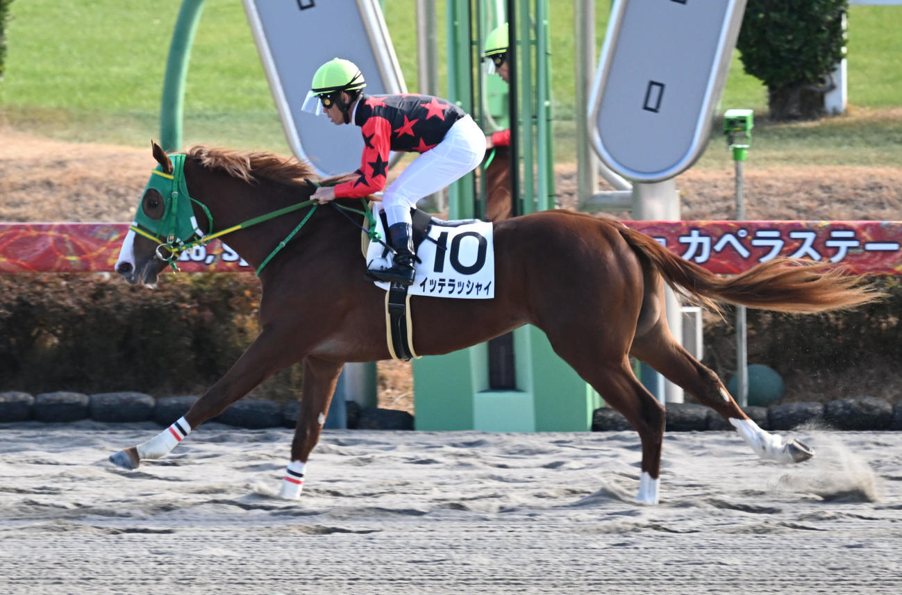 中山2R、2歳未勝利戦を制したイッテラッシャイと戸崎騎手（撮影・千葉一成）