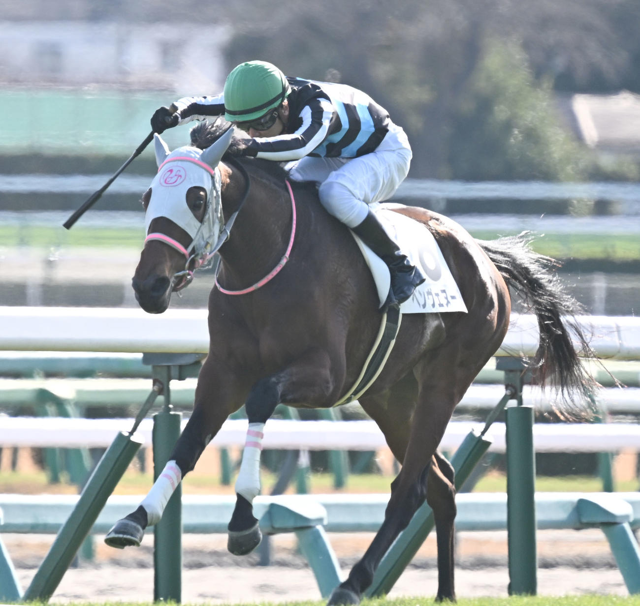 中山5R、2歳新馬戦を制したベンヴェヌータと石橋騎手（撮影・千葉一成）