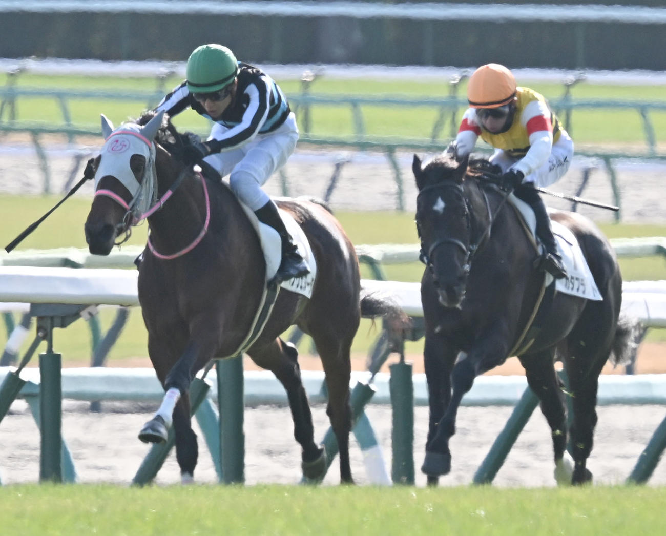 中山5R、2歳新馬戦を制したベンヴェヌータと石橋騎手（左）（撮影・千葉一成）