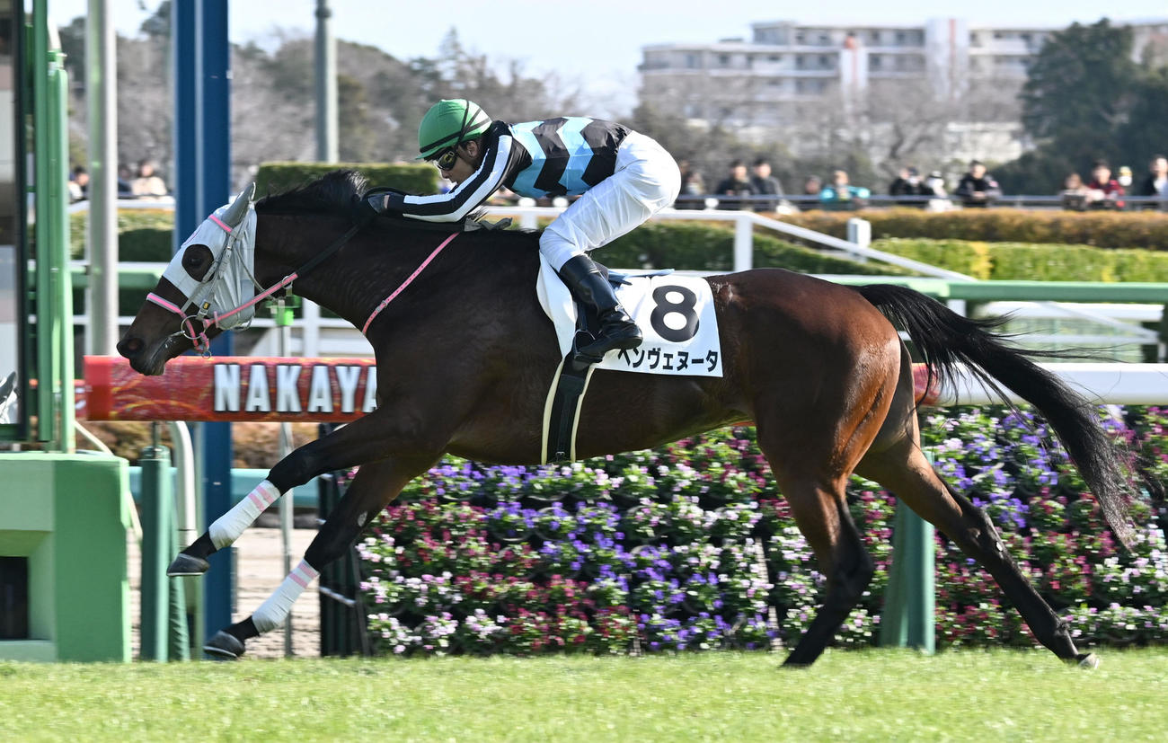 中山5R、2歳新馬戦を制したベンヴェヌータと石橋騎手（撮影・千葉一成）