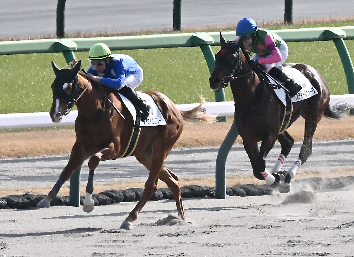 中山6R、2歳新馬戦を制したタイセイエムロードと石田騎手（左）（撮影・千葉一成）