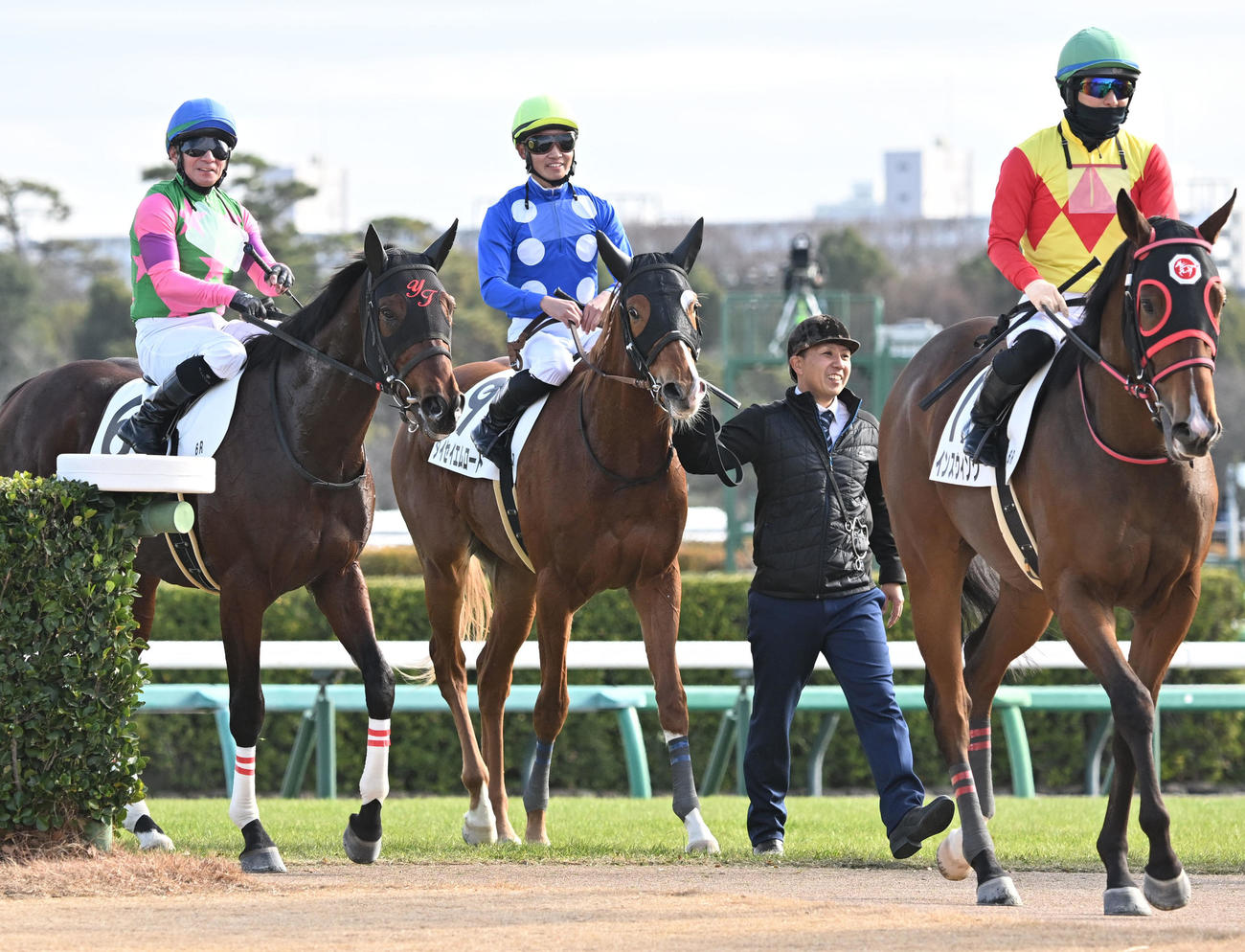 中山6R、2歳新馬戦を制したタイセイエムロードと石田騎手（中央）（撮影・千葉一成）