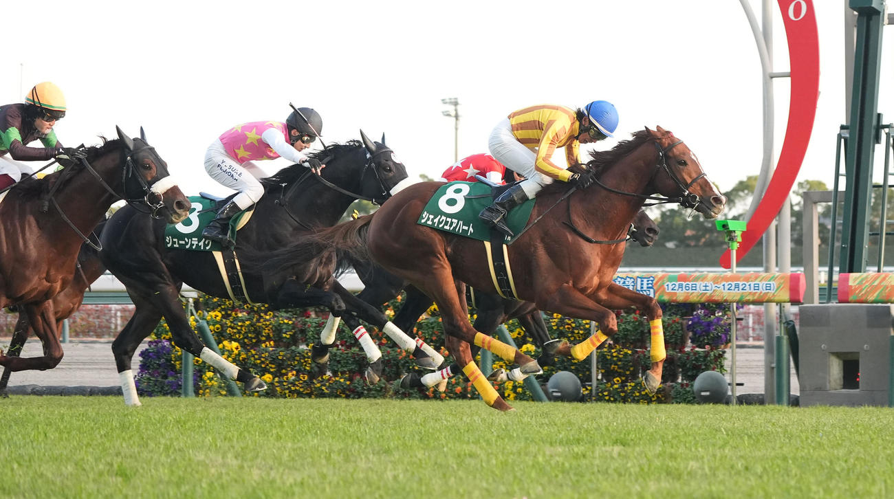中日新聞杯を制したシェイクユアハート（撮影・森本幸一）