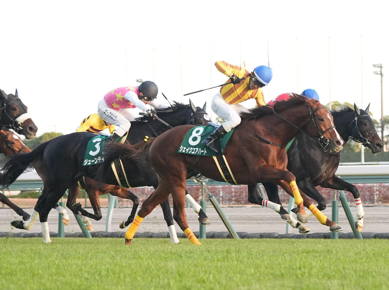 中日新聞杯を制した8番シェイクユアハート（撮影・森本幸一）