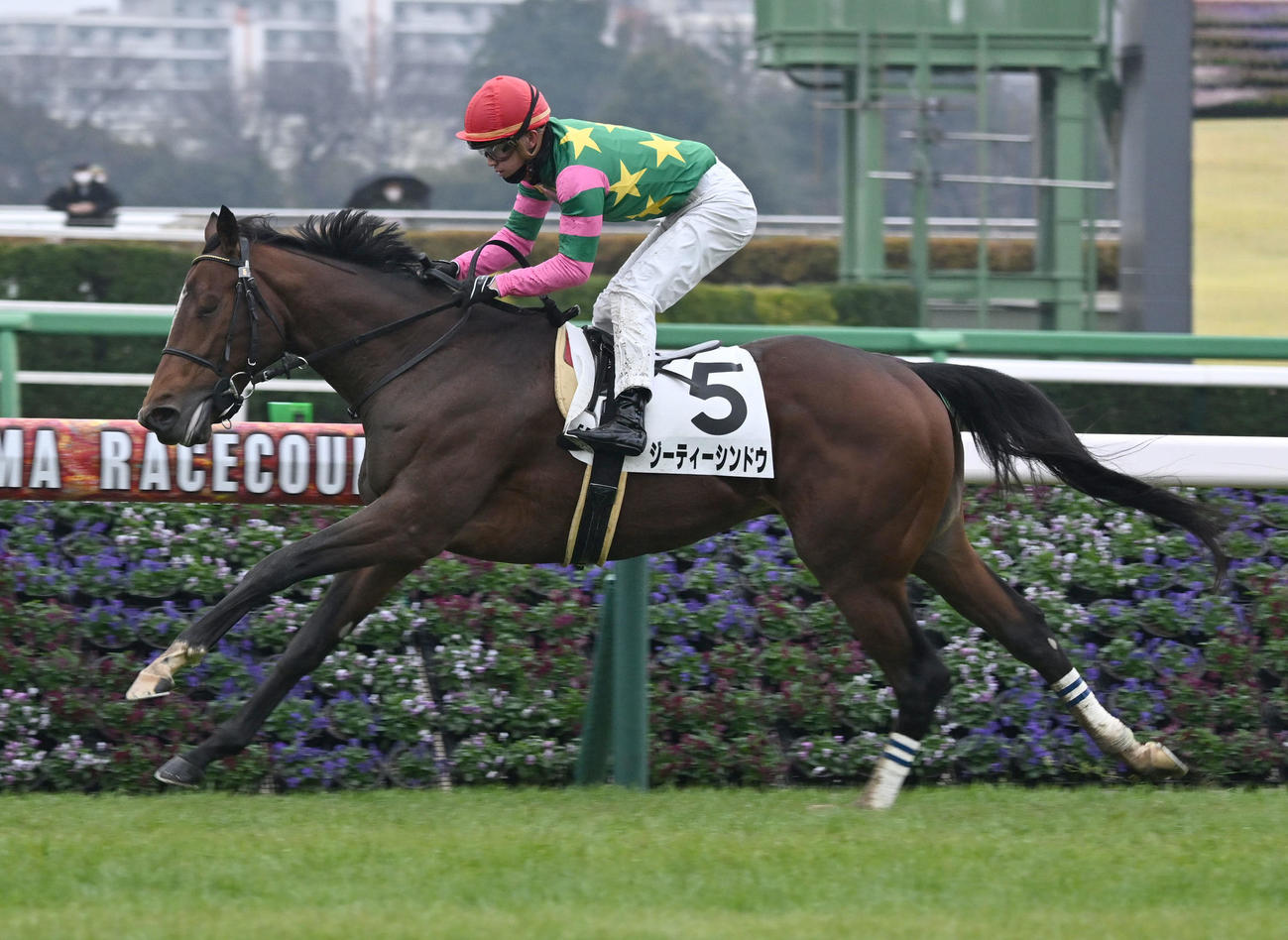 中山5R、2歳新馬戦を制したジーティーシンドウと菅原明騎手（撮影・千葉一成）