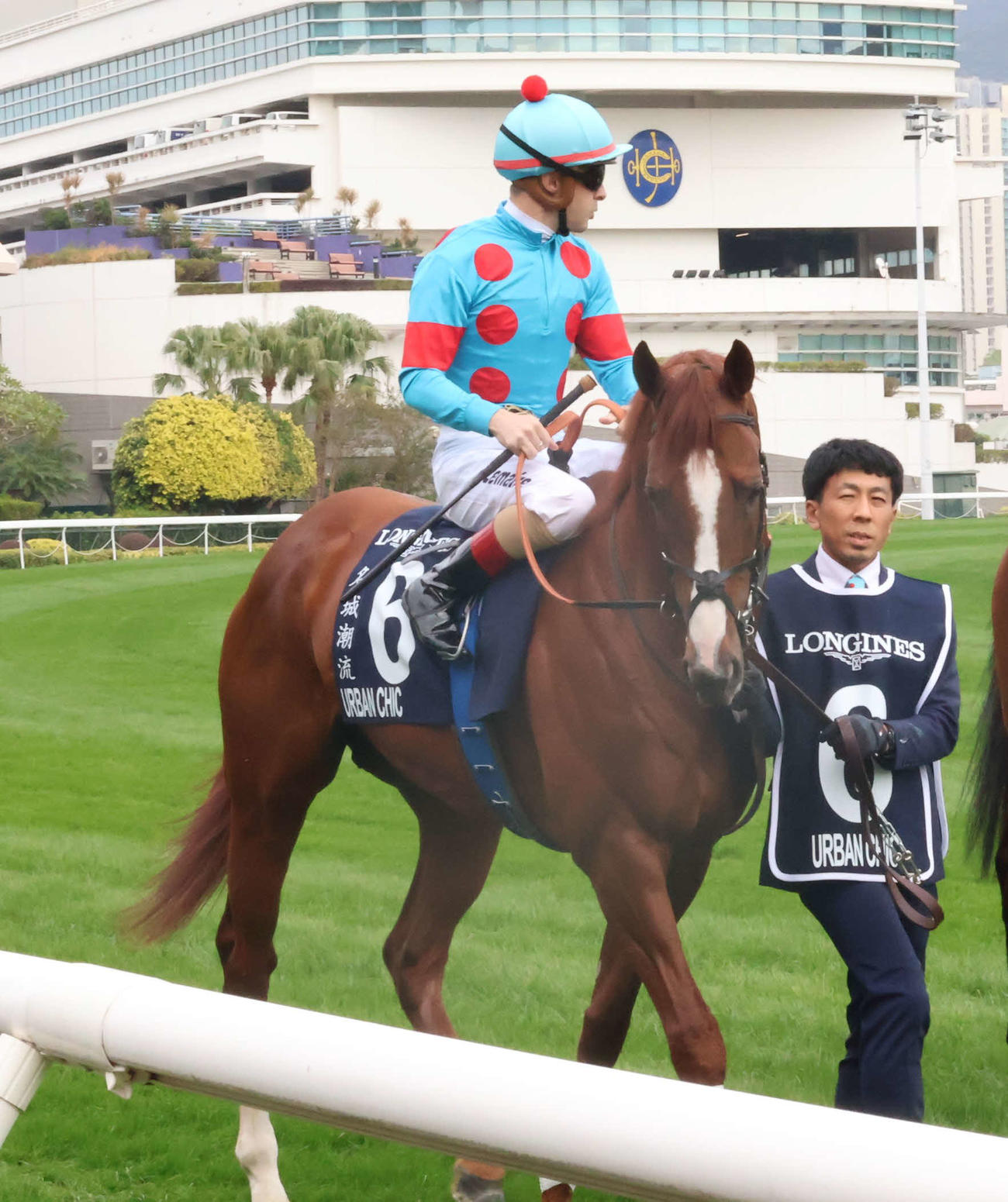 香港ヴァーズに出走したアーバンシック（撮影・深田雄智）