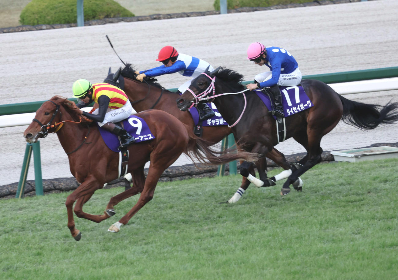直線で抜け出し阪神JFを制したスターアニスと松山騎手（左）（撮影・西尾就之）