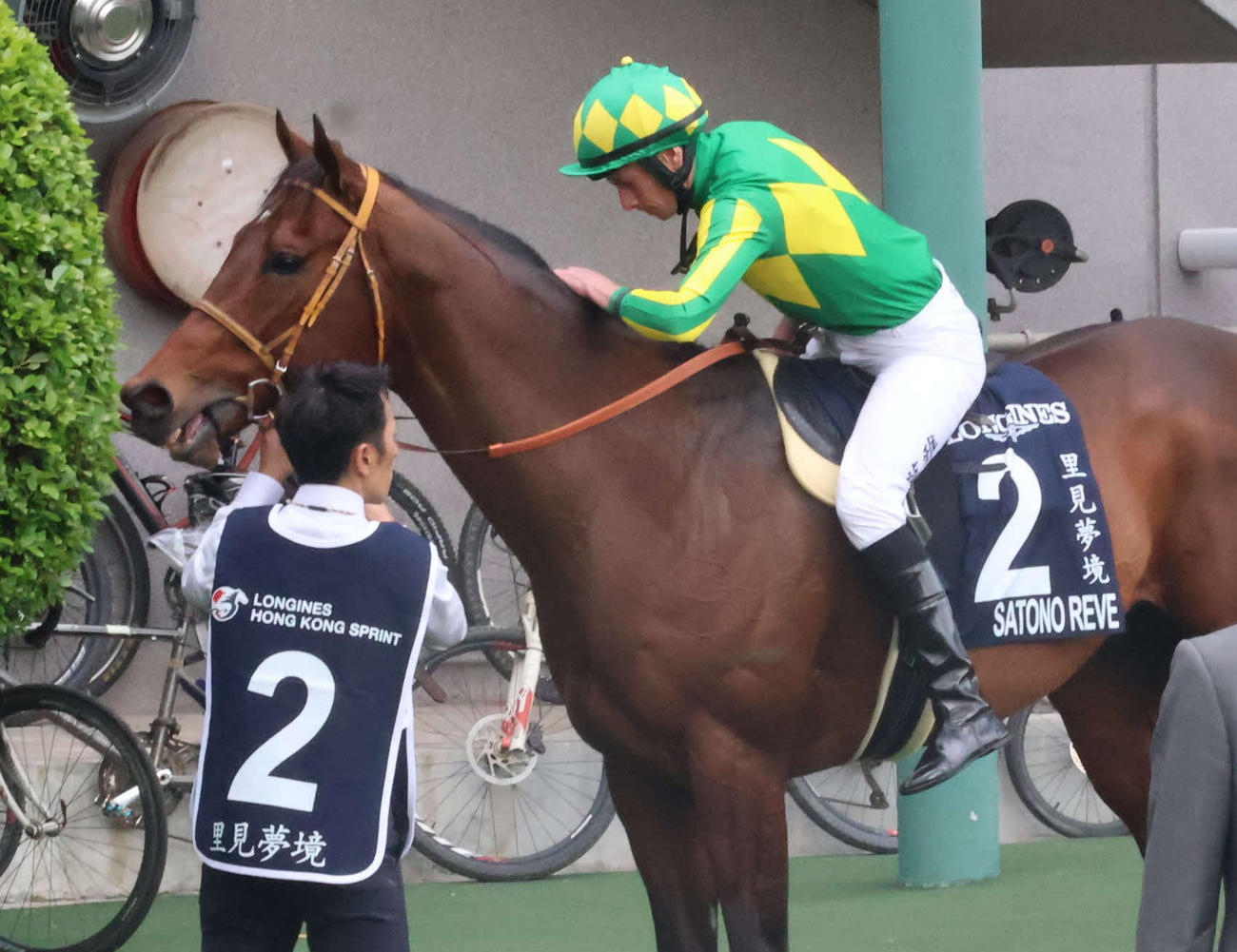 香港スプリント9着に敗れたサトノレーヴ（撮影・深田雄智）