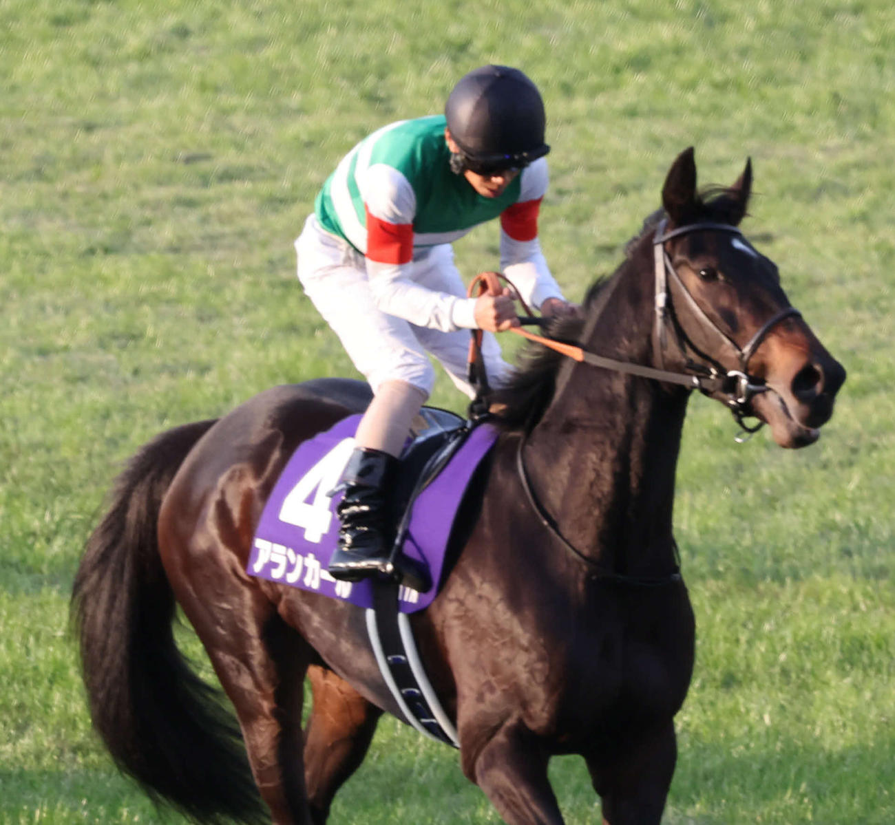 阪神JF5着に敗れた1番人気のアランカール（撮影・西尾就之）