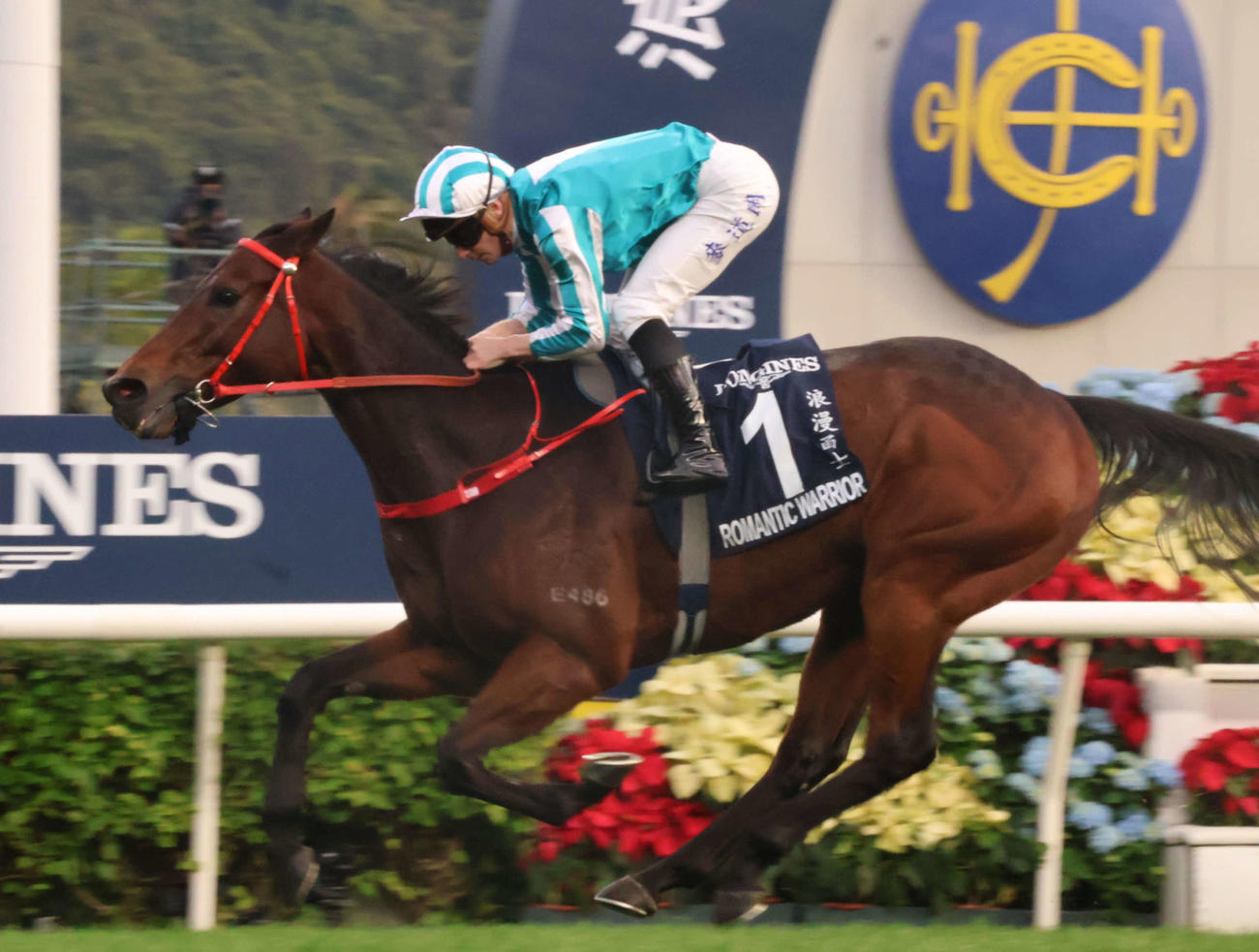 香港カップを制したロマンチックウォリアー（撮影・深田雄智）