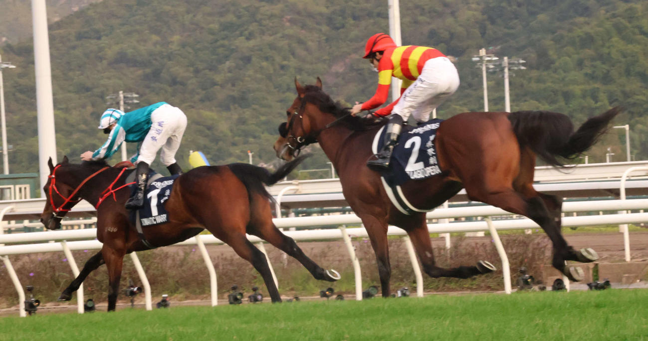香港カップを制したロマンチックウォリアー（左）と2着ベラジオオペラ（撮影・深田雄智）