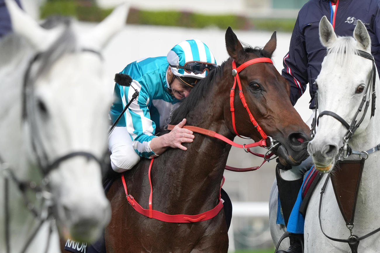 香港カップを制したロマンチックウォリアー（（C）The Hong Kong Jockey Club）