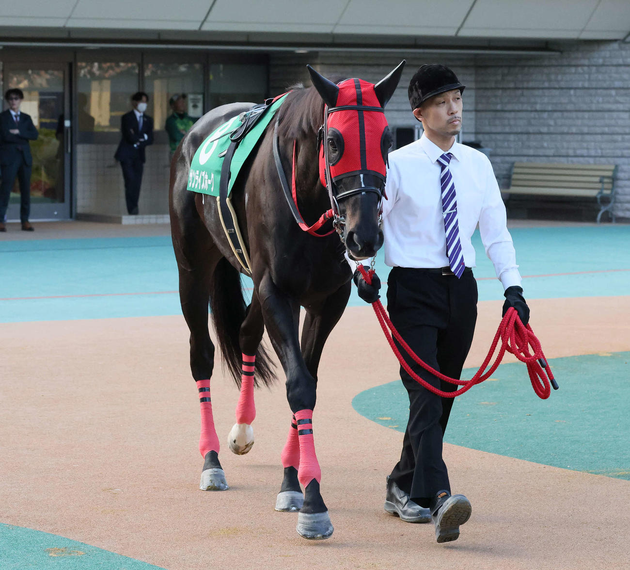 鞍上が発表されていないサンライズホーク