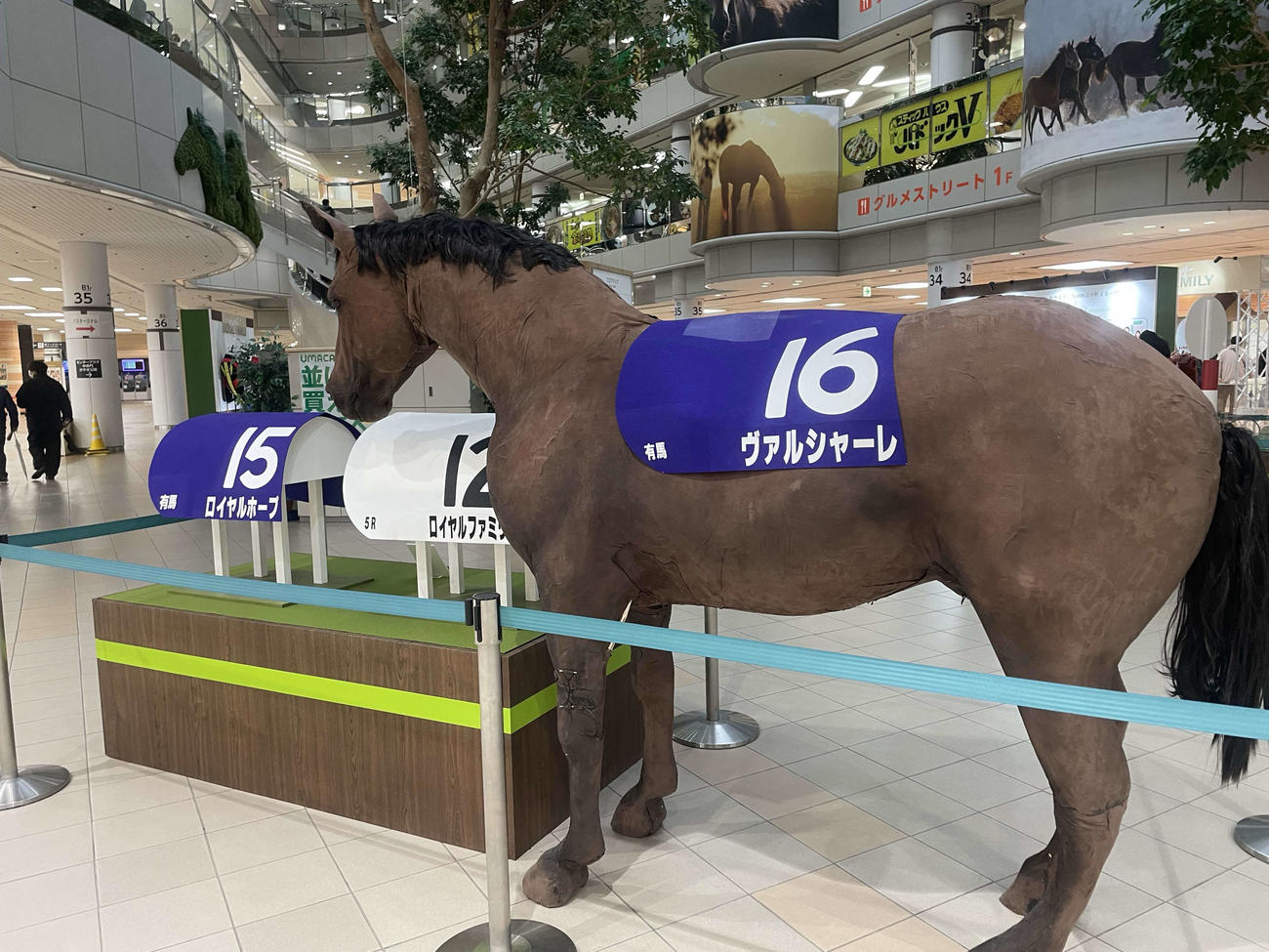 テレビ画面越しよりも大きく見える気がするヴァルシャーレ