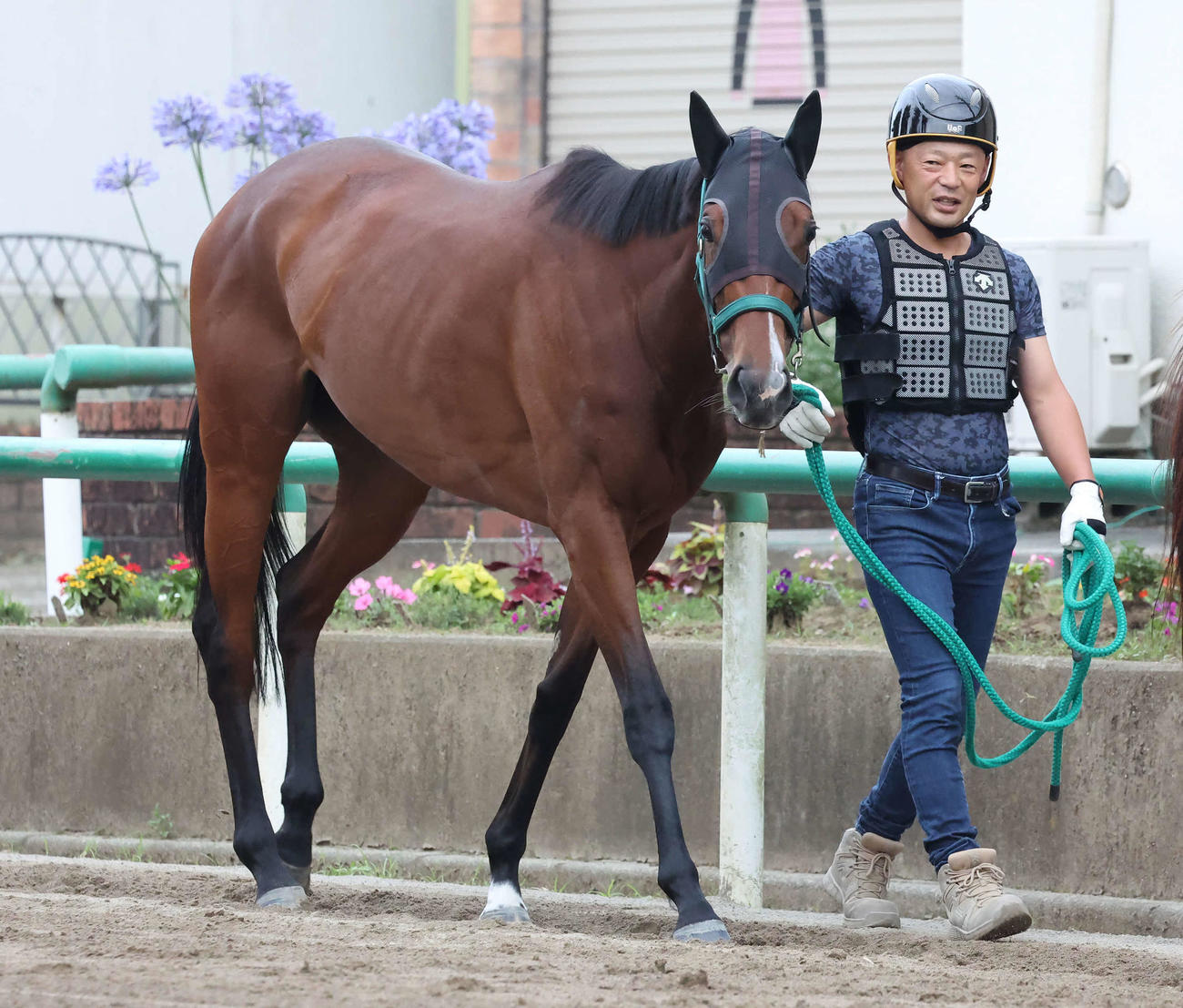 ライラックと三尾一之厩務員（2023年6月22日撮影）