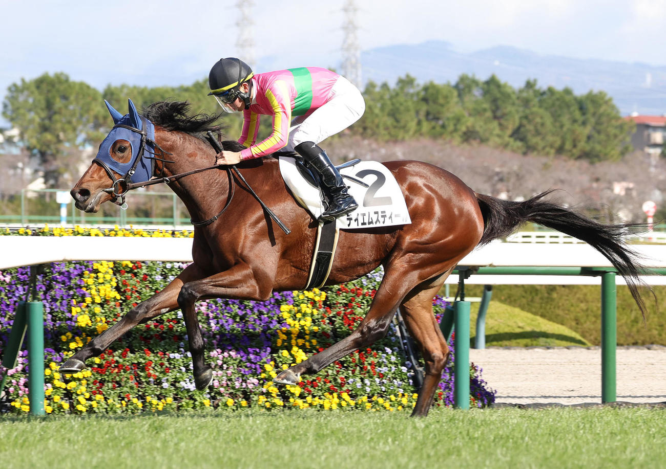 新馬戦を制したテイエムスティール（2025年12月14日撮影）