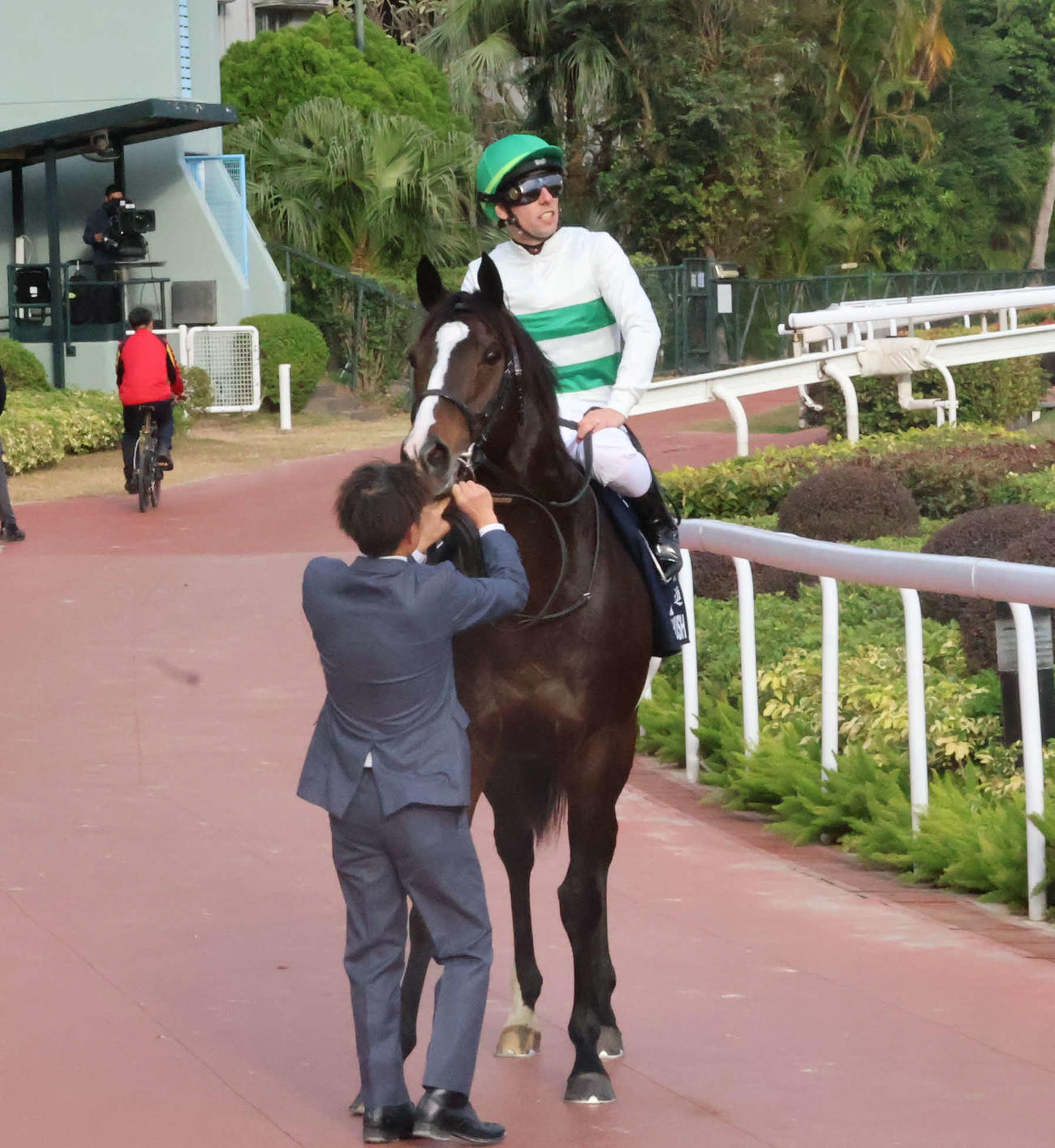 香港マイルに出走したソウルラッシュはラストランを2着で終える（撮影・深田雄智）