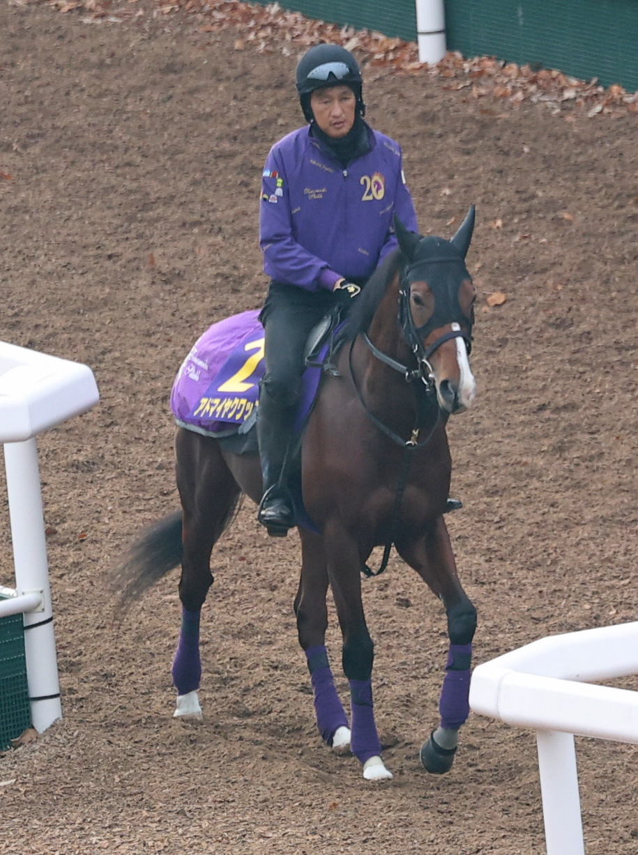 追い切りへ向かうアドマイヤクワッズ