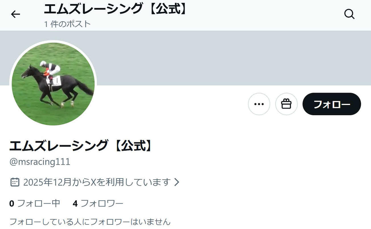 エムズレーシングの公式X