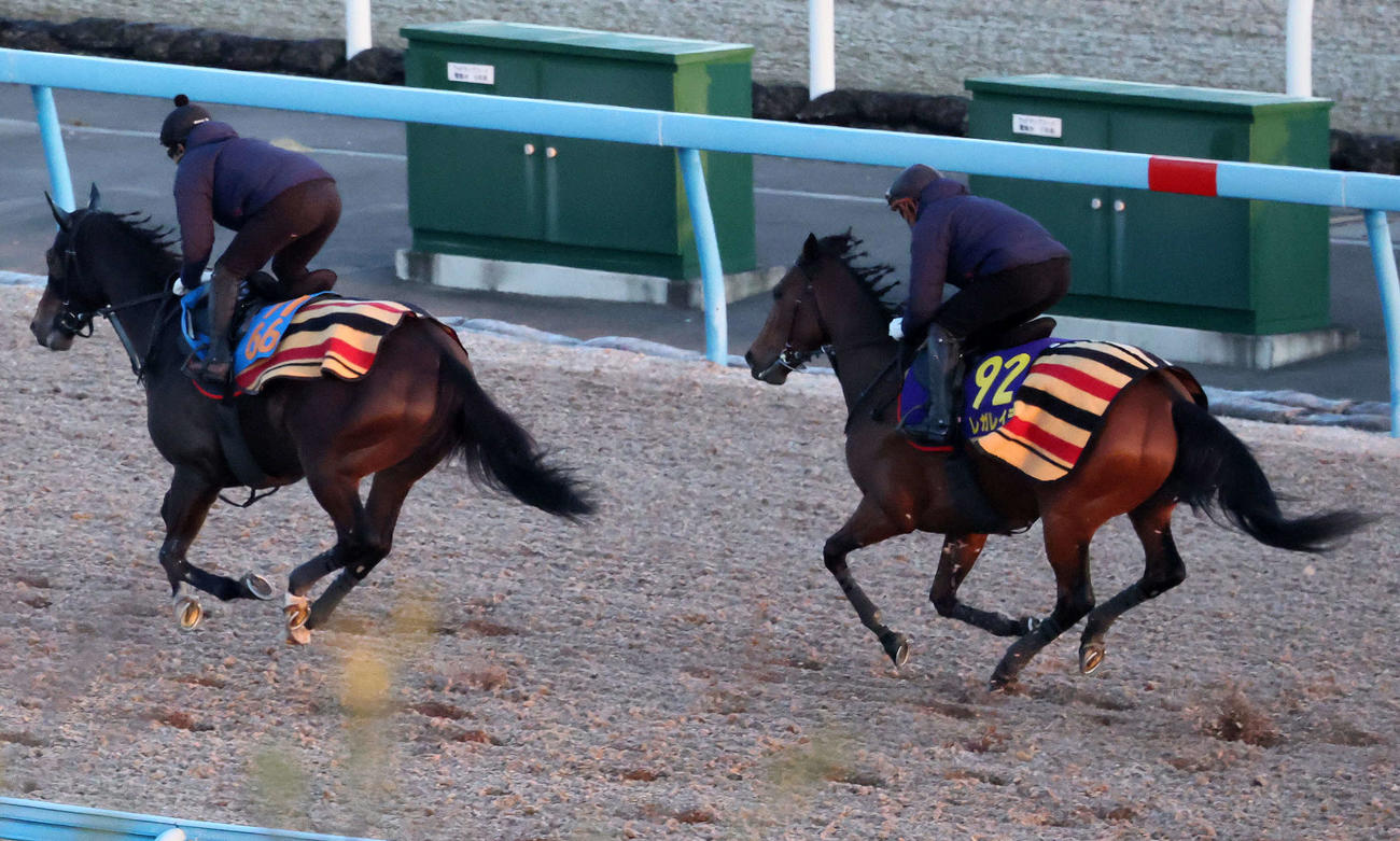 レガレイラ（右）は美浦ウッドでソニックスターと併せて追い切られた（撮影・丹羽敏通）