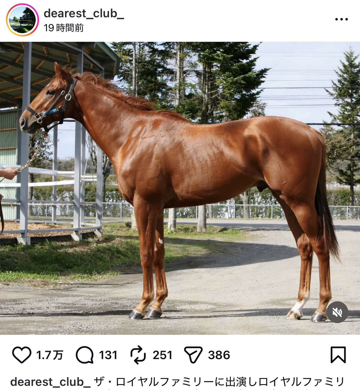 ディアレストクラブのインスタグラム