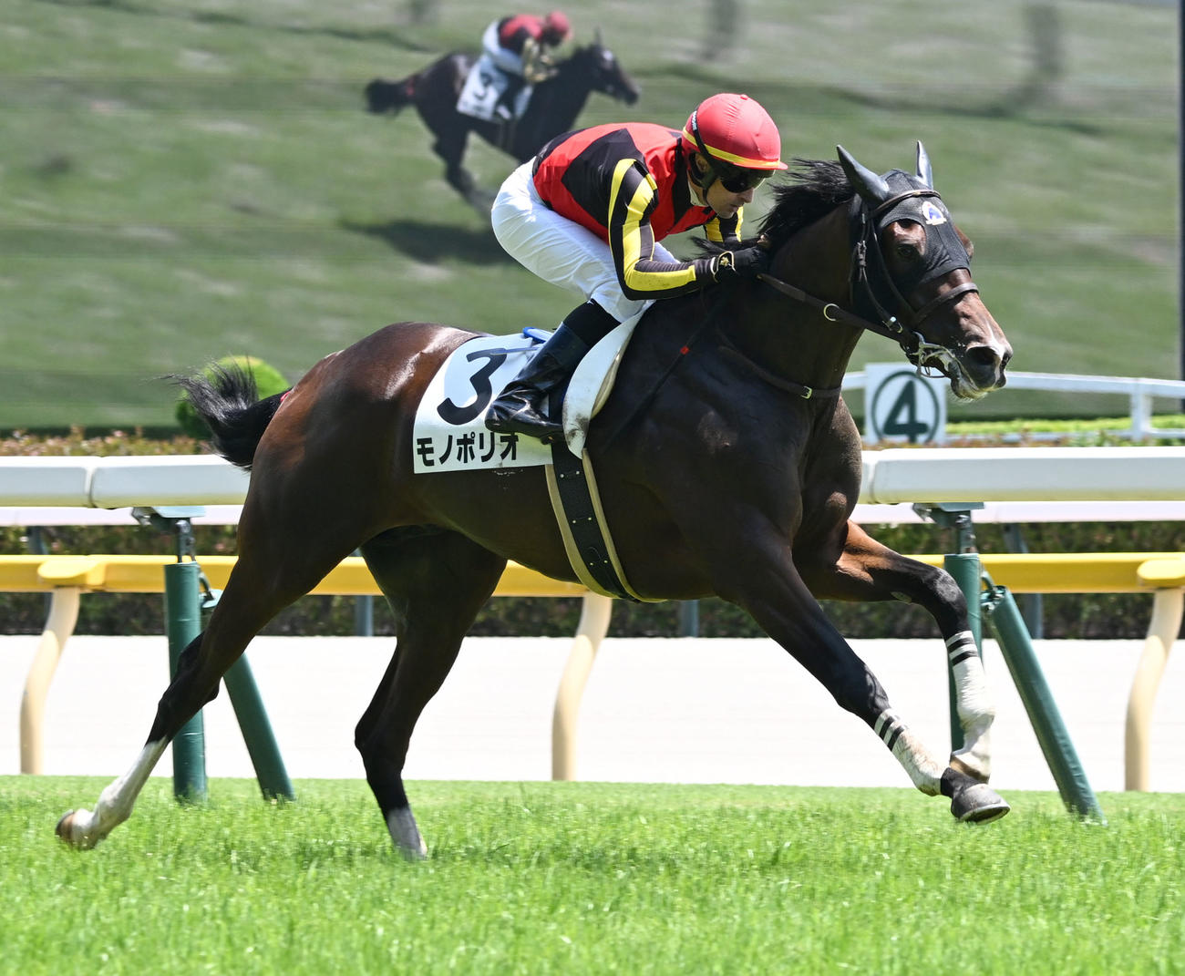 6月21日東京5Rの新馬戦を制したモノポリオ