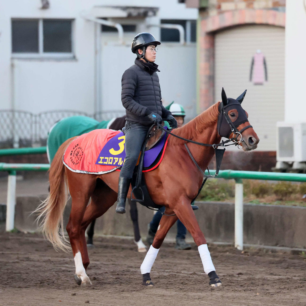 17日、乗り運動で調整するエコロアルバ