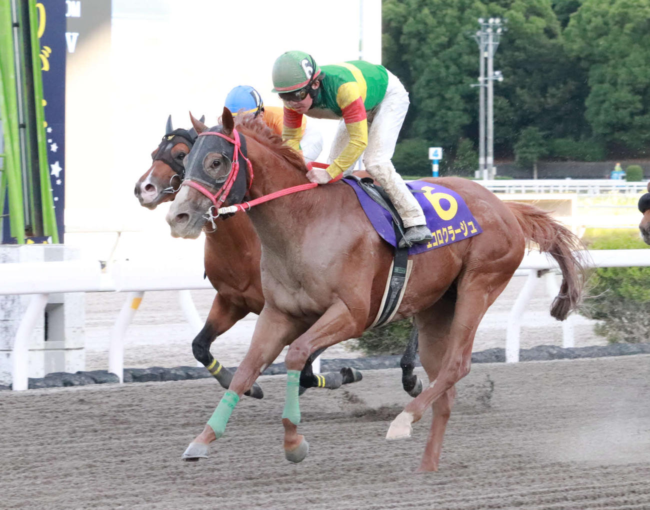 地元馬初制覇を目指すエコロクラージュ