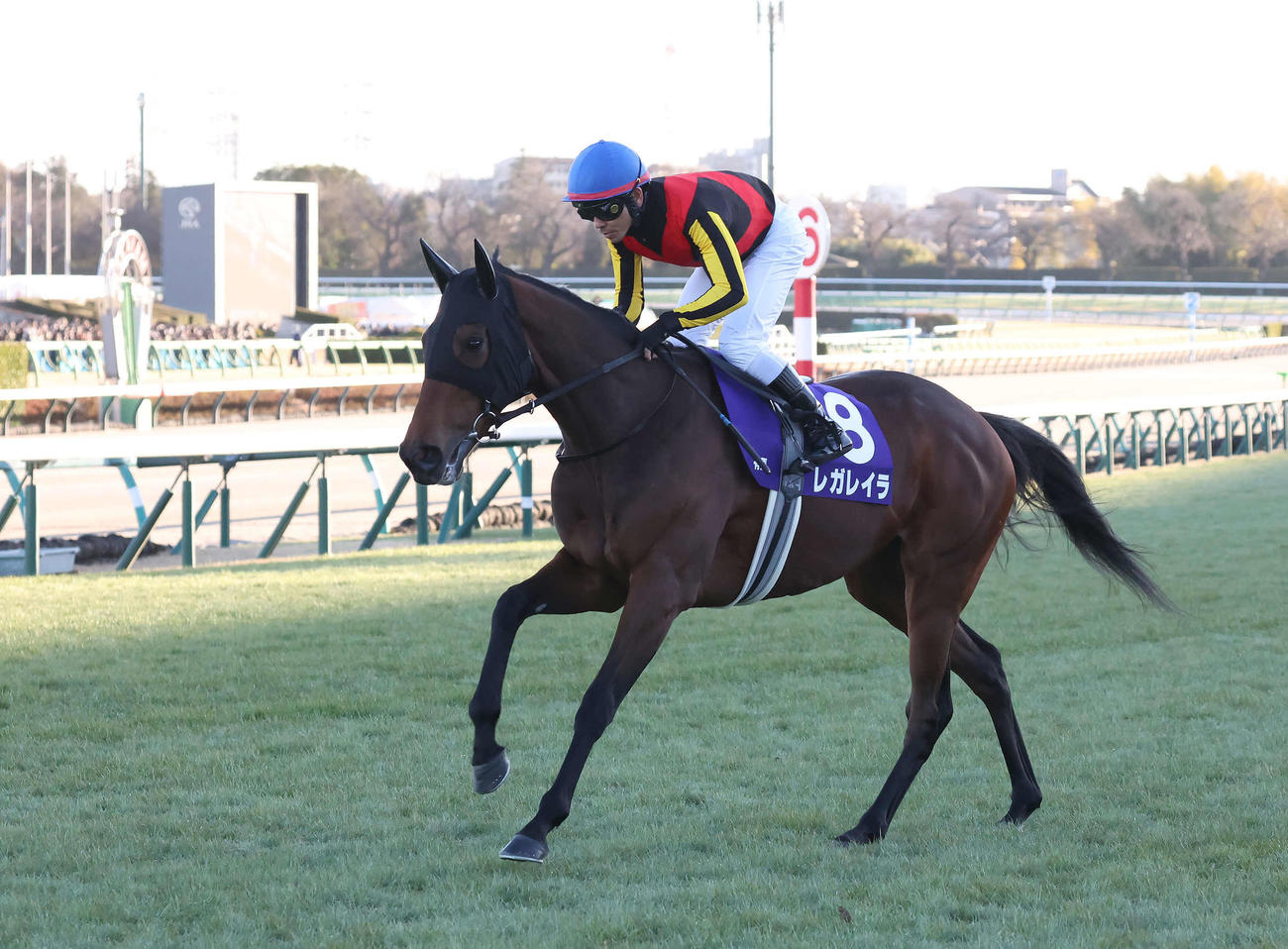 有馬記念に出走したレガレイラと戸崎騎手（24年12月22日撮影）