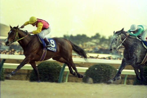 有馬記念】券種別最高配当 単勝最高は91年14番人気で勝利 馬単6万円超