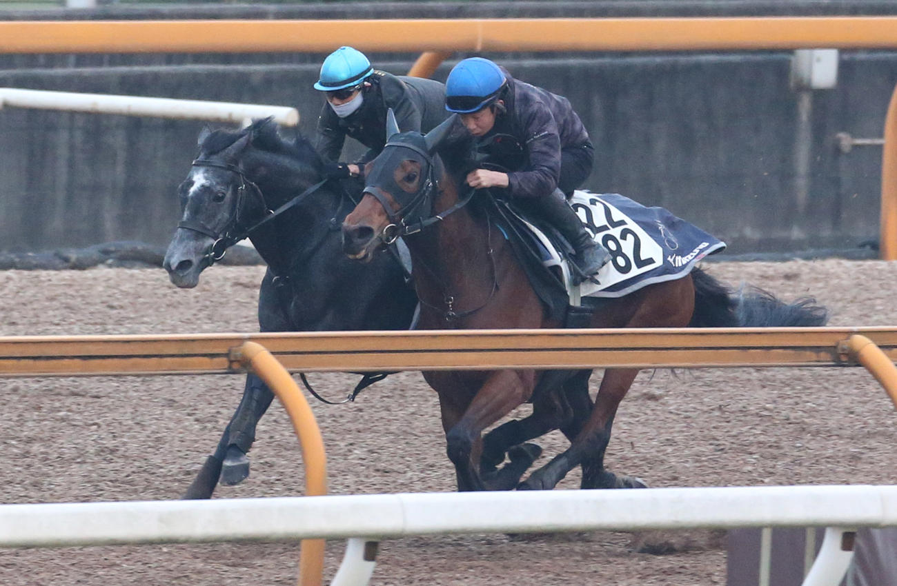 CWコースにて併せ馬で追い切るクロノジェネシス（奥）。手前はリュヌルージュ(2020年12月撮影)