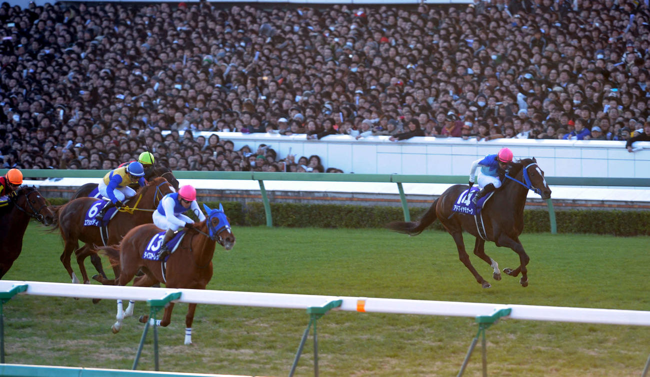 優勝したダイワスカーレット、右は2着のアドマイヤモナーク、左は3着のエアシェイディ（08年12月）