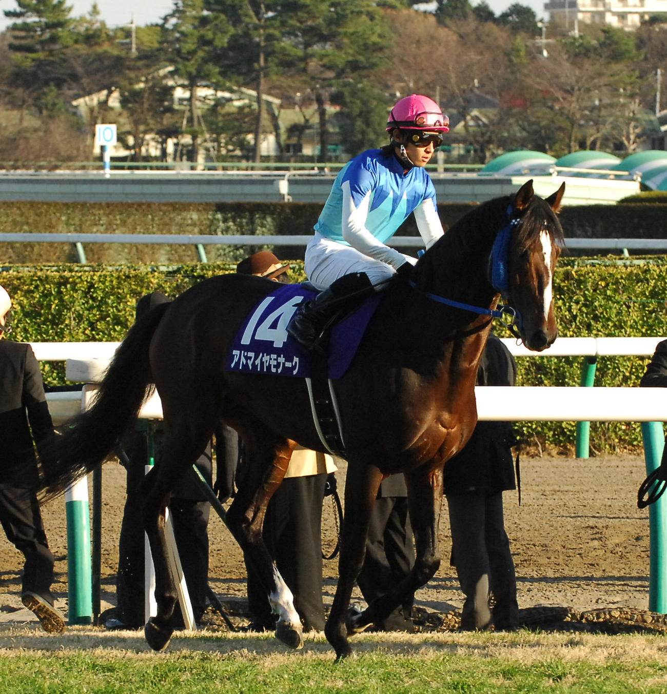 第53回有馬記念G1　アドマイヤモナーク（川田将雅騎手）（08年12月28日）