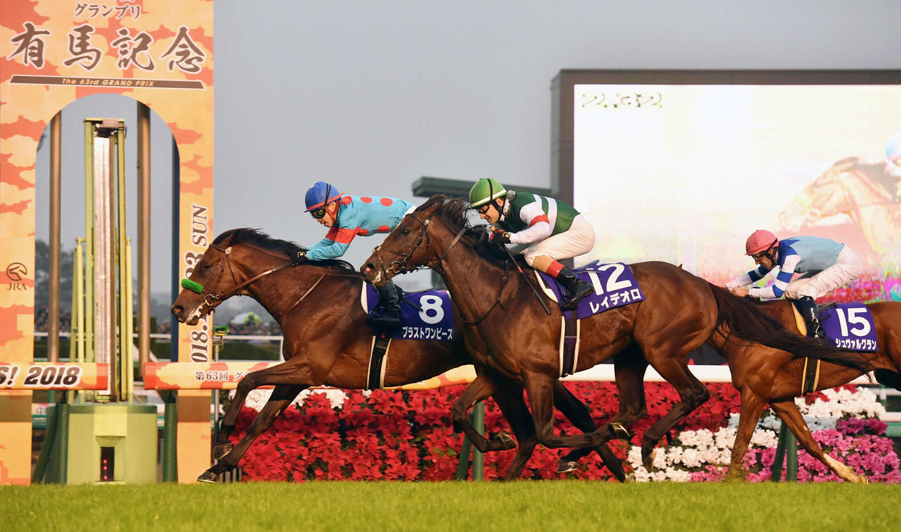 第63回有馬記念、3着になったシュヴァルグラン（2018年12月23日撮影）