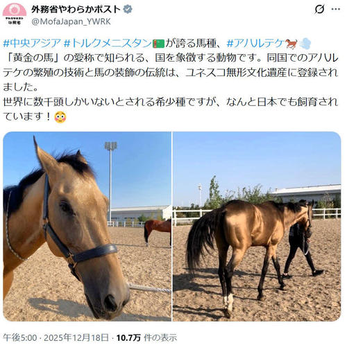 馬　ウマ　うま　印籠　根付　希少 蒔絵馬図印籠・根付貝図 - 古好屋