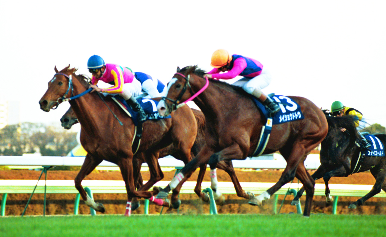 00年第45回有馬記念で2着に敗れたメイショウドトウ（右）。左は勝ったテイエムオペラオー