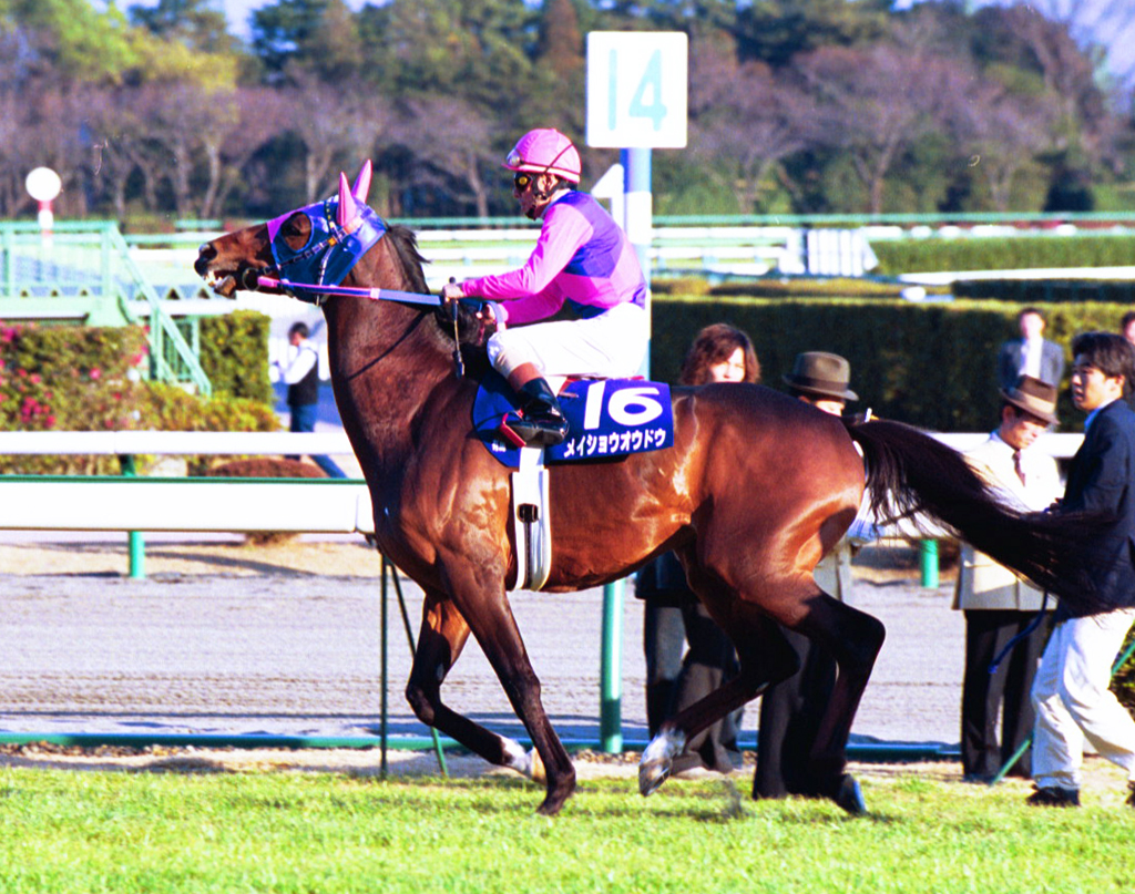 2000年第45回有馬記念に出走したメイショウオウドウと河内洋騎手