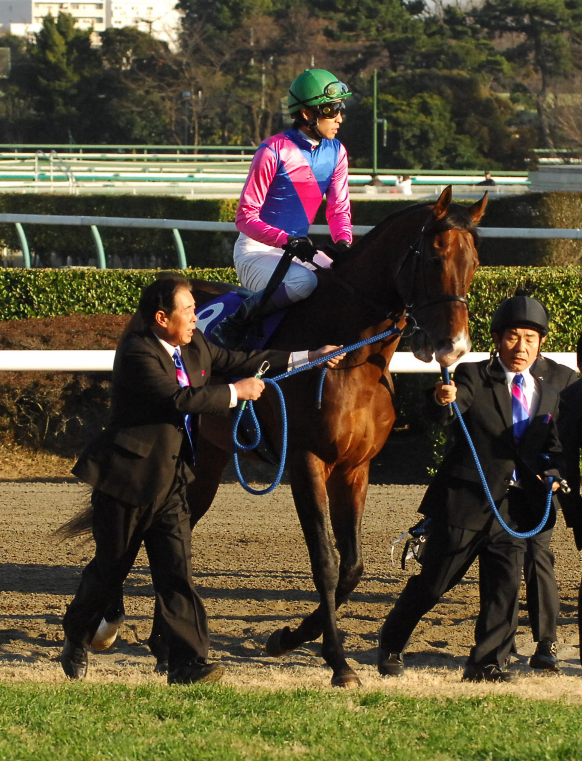 08年有馬記念で8着に敗れたメイショウサムソンと武豊騎手