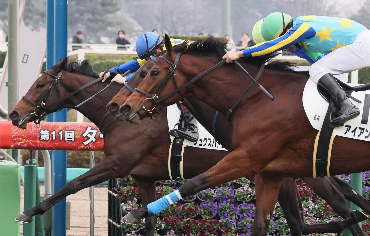 中山6R、2歳牝馬限定の新馬戦を制したリュクスパトロールと西村淳騎手（奥）。手前は2着アイアンパイク（撮影・丹羽敏通）