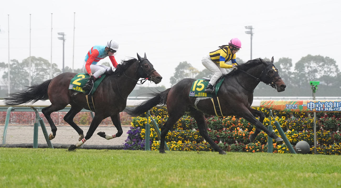 中京8RのYJSファイナルラウンド中京第1戦を制したモアリジットと古川奈穂騎手（撮影・森本幸一）