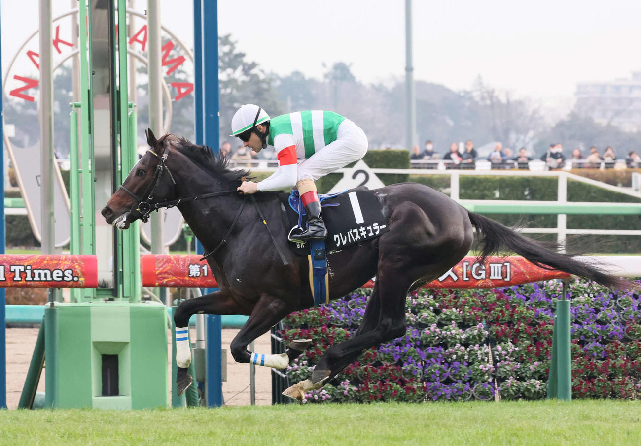 ひいらぎ賞を制したクレパスキュラーとルメール騎手（撮影・丹羽敏通）