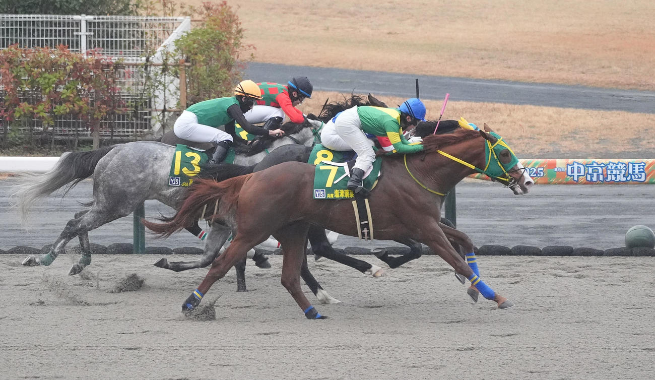 中京10RのYJSファイナルラウンド中京第2戦を制したトルーマンテソーロと塩津璃菜騎手（撮影・森本幸一）