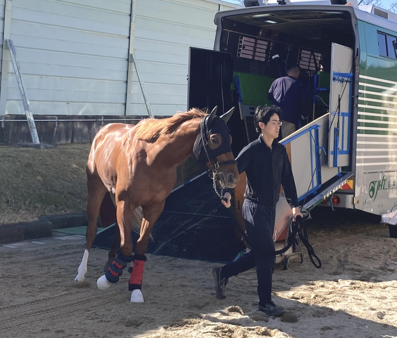 阪神競馬場に到着したエコロアルバ（撮影・太田尚樹）