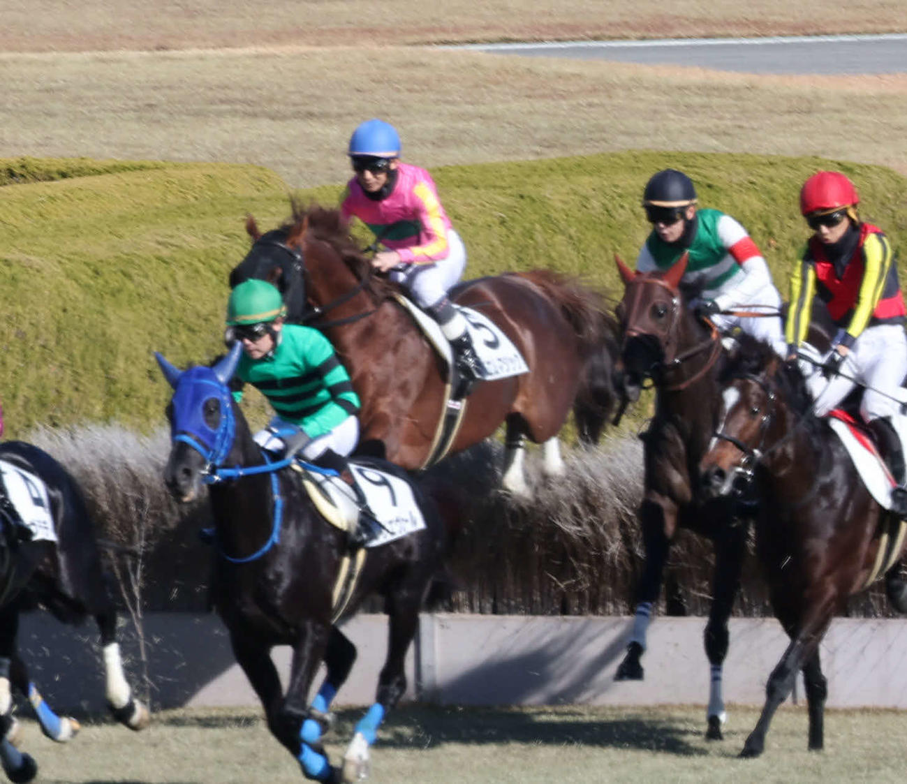 競走中止の人馬は異常なし「カラ馬が逆走してきますが…」実況心配する